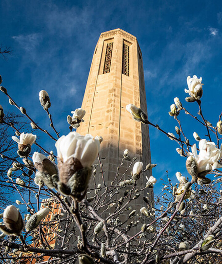 Mueller tower with flowering trees in foreground